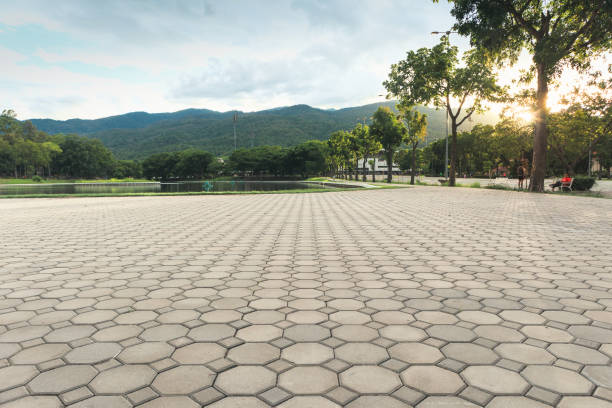 Best Driveway Paving Contractor  in Earlimart, CA